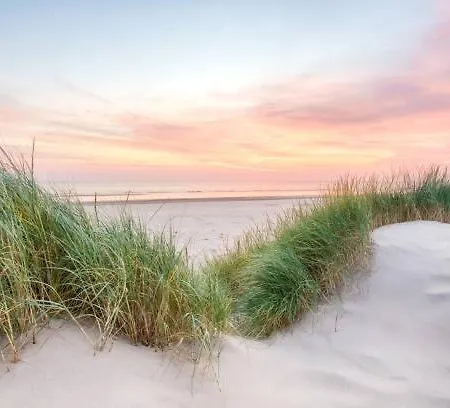 Gelijkvloers 150m Lejlighed